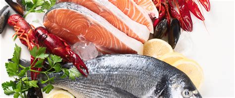 Foto van een bord met gezonde, bereide vissoorten zoals zalm en garnalen.