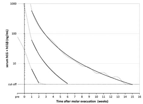 grafiek van de Nijmeegse hCG-verdwijningscurve met p5, p50 en p95 lijnen