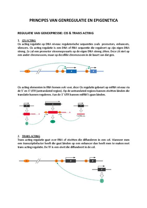 Infographic die de principes van epigenetica uitlegt in relatie tot vruchtbaarheid en zwangerschap.