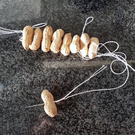 Een lange slinger van pinda's, geregen aan een touwtje.