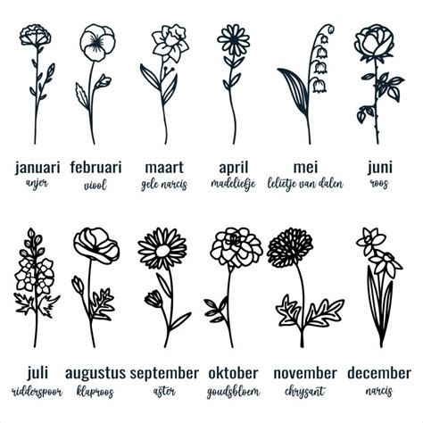 Voorbeelden van maandelijkse geboortebloemen die als thema voor stempels kunnen dienen.