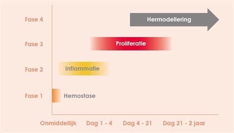 Schema dat de verschillende fasen van littekenherstel na een keizersnede weergeeft, met vermelding van de treksterkte.