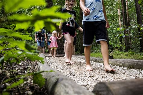 Kinderen lopen over het blotevoetenpad in Arboretum Oostereng