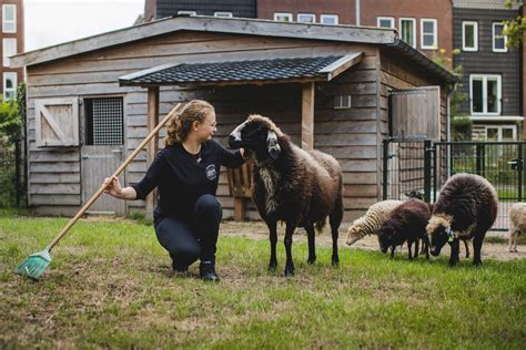 Kinderen aaien een geitje op de Stadsboerderij Wageningen