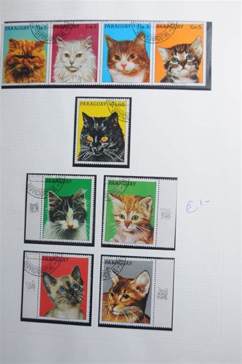 Collage van verschillende Tiamo muziekmobielen met diverse thema's zoals uiltjes, hondjes en konijntjes.