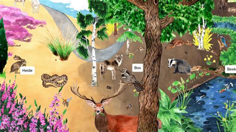 Gedetailleerde illustratie van een bos met verborgen dieren en planten