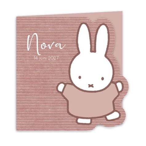 Illustratie van een Nijntje geboortekaartje met kenmerkende Dick Bruna kleuren