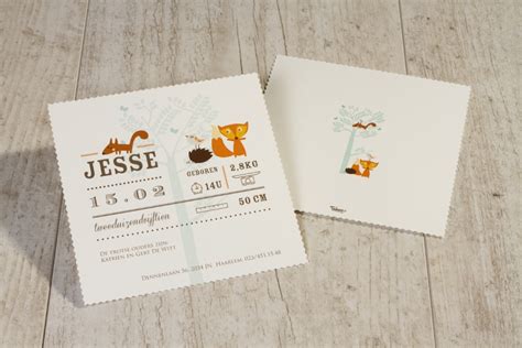 Voorbeeld van een Nijntje geboortekaartje met een dier, zoals een giraf of olifant