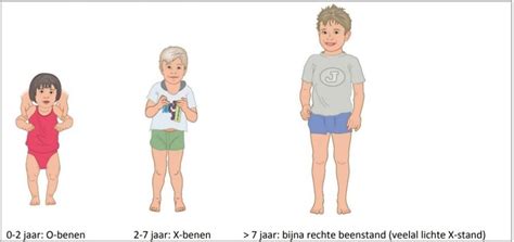 illustratie van de drie voedingsreflexen bij baby's