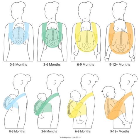 Infographic die de houding van een baby in de baarmoeder vergelijkt met de kikkerhouding in een draagdoek.