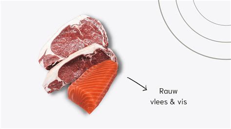 Schema van de risico's van rauwe vis voor zwangere vrouwen, met focus op Listeria en zware metalen.