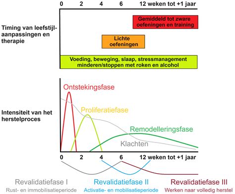Infographic die de verschillende fases van lichamelijk herstel na een bevalling toont.