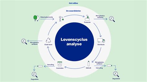 infographic met de levenscyclus van de vuurgarnaal