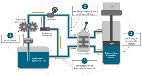 Schema dat de werking van miconazol op de schimmelcelmembraan illustreert.