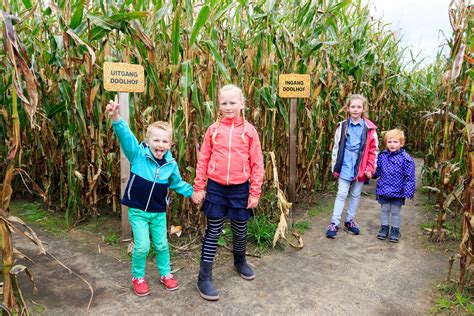 Illustratie van kinderen die spelen in een maisdoolhof