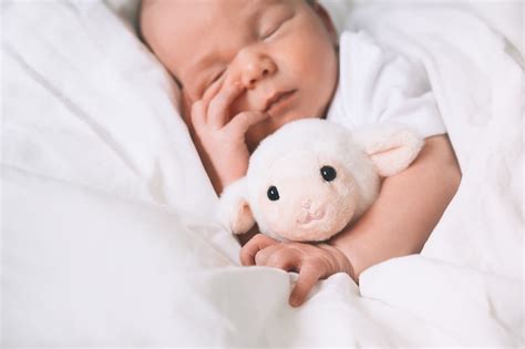 Illustratie van een baby die rustig slaapt in een wieg met een knuffeltje