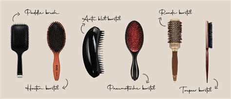 Verschillende soorten borstels en kammen voor vachtverzorging van Doodles