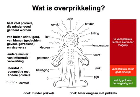 informatie over prikkelgevoeligheid bij kinderen