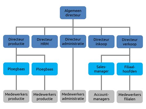 Schematische weergave van de organisatiestructuur van een zorgteam met een teamleider