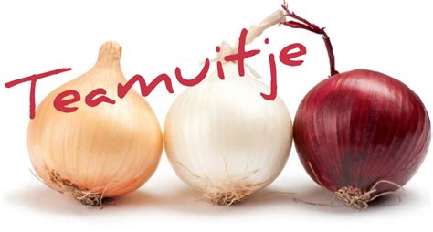 Afbeelding van een teamuitje of een collega die een training volgt bij een kraamzorgorganisatie