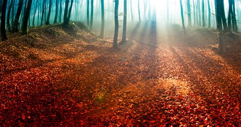 Voorbeeld van borstvoedingsfoto's met prachtig natuurlijk licht