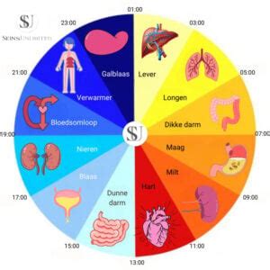 Schema met de levensduur en hormoonafgifte van verschillende hormoonspiraaltjes, waaronder Mirena.