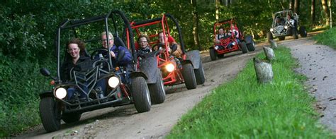 Een buggy staat klaar voor verhuur naast een quad in een natuurlijke omgeving.