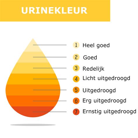 Infographic die de effecten van uitdroging en urineverdunning op zwangerschapstesten uitlegt
