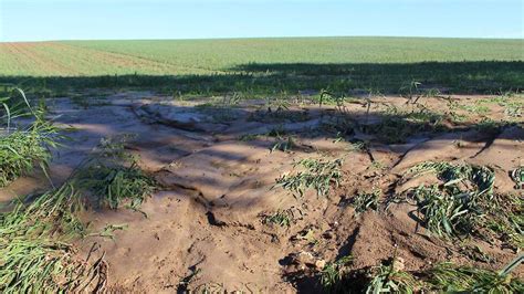 een akker met lössgrond in Limburg, met tekenen van erosie op een helling