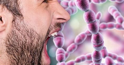 illustratie van de streptokokkenbacterie