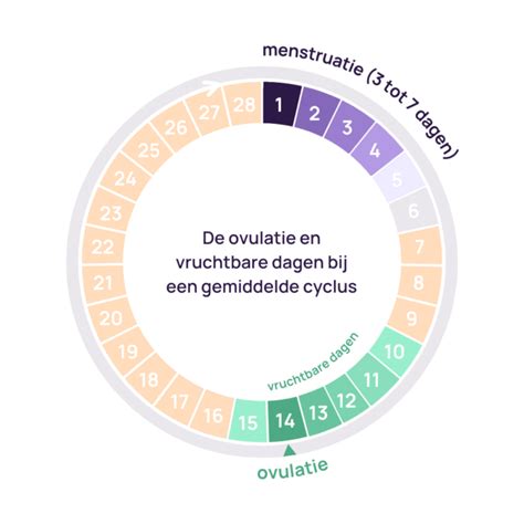 Schematische weergave van de menstruatiecyclus met de vruchtbare periode rond de ovulatie.