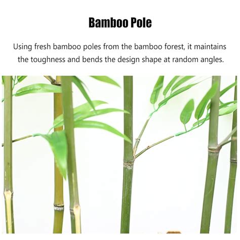 Illustratie van bamboeplanten