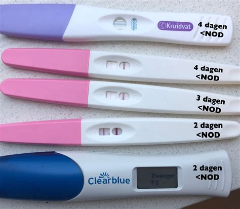 Voorbeelden van verschillende ovulatietestresultaten: negatief, licht positief, positief.