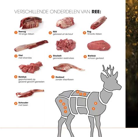 Illustratie van de verschillende onderdelen van een borst en de melkproductie