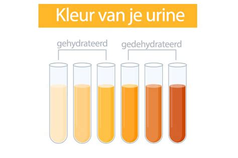 Infographic die de verschillen tussen blaasontsteking en urineverlies tijdens de zwangerschap uitlegt.