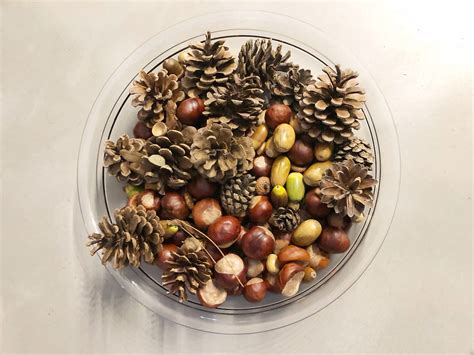 Een tafel gedecoreerd met herfstmaterialen zoals kastanjes, bladeren en dennenappels