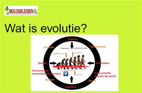 Schema van de evolutie van bevolkingsregisters