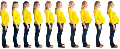 Vrouw met een zichtbaar zwangere buik rond week 20