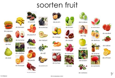 Illustratie van baby's die verschillende soorten fruit en groenten proeven