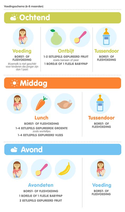 Infographic met een dagelijks voedingsschema voor baby's van 11-12 maanden