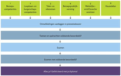 Schema van de Nederlandse onderwijsfasen