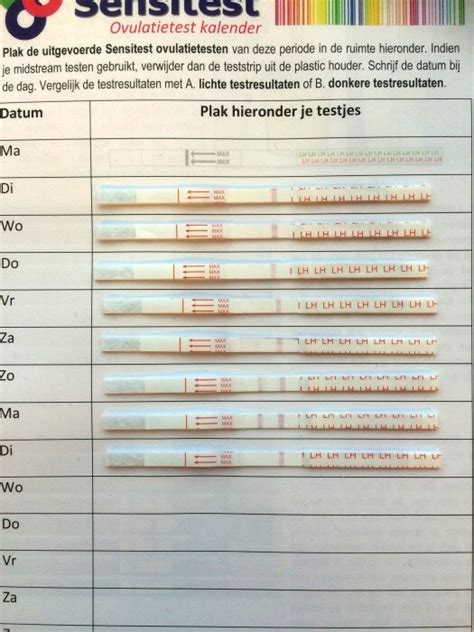 Voorbeeld van verschillende uitslagen van ovulatietesten: woorden, streepjes en emoticons.