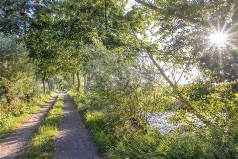 Gezin met buggy op een wandelpad in de natuur