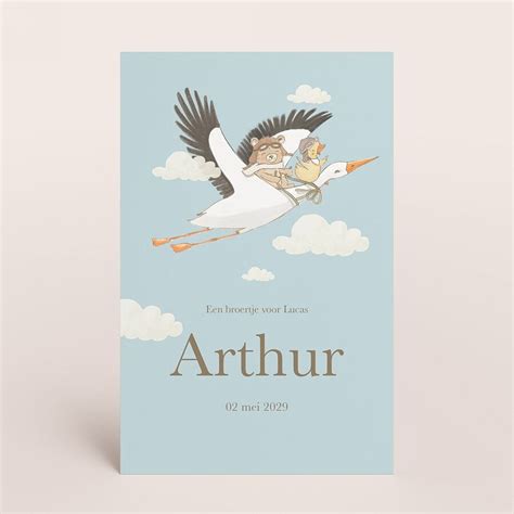 Historisch geboortekaartje met een ooievaar