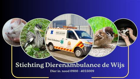 Een reeks afbeeldingen die Boulder's interacties met dieren en zijn rol in het herstellen van het park na de naniten-uitbraak tonen.