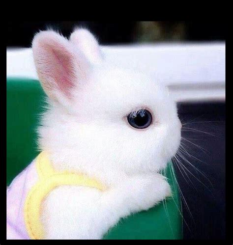 Illustratie van een kind dat een warme drank drinkt, met symbolen van groenten en fruit.