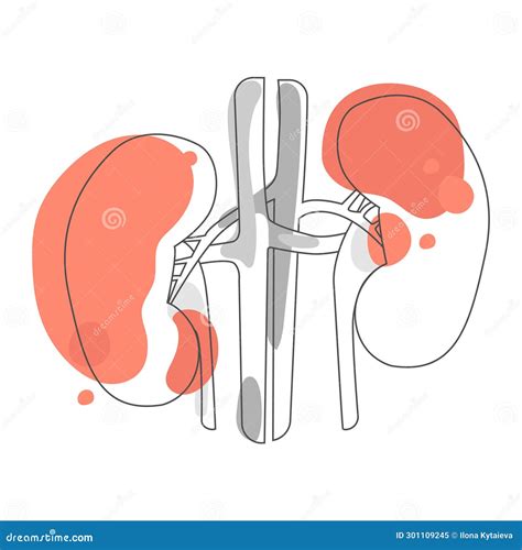Illustratie van een nier of een kind met een nierprobleem