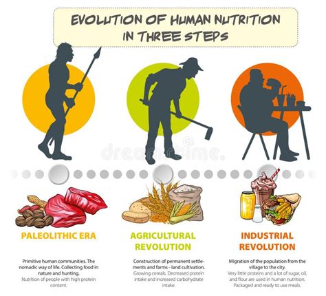 Infographic over de geschiedenis en ontwikkeling van Nutrilon.