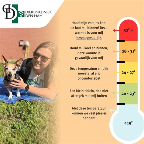 Schema dat het verschil tussen koorts en oververhitting bij honden uitlegt