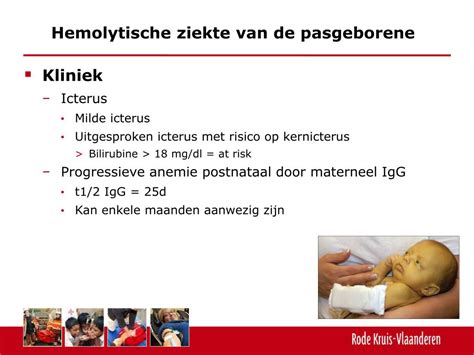 Schema van de hemolytische ziekte van de foetus en pasgeborene, met nadruk op de rol van maternale antistoffen en de gevolgen voor de foetus.